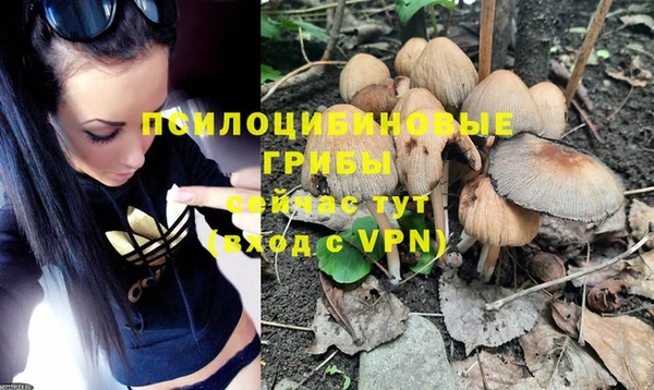 ALPHA-PVP Зеленокумск